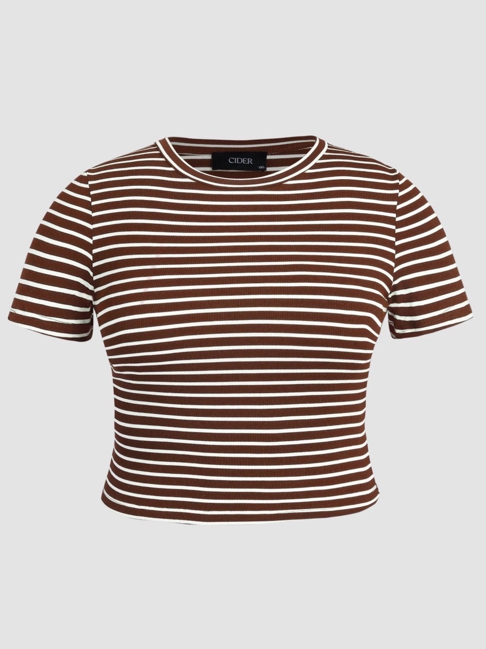 CIDER Curve Brown & White Striped Cropped Tee 2X